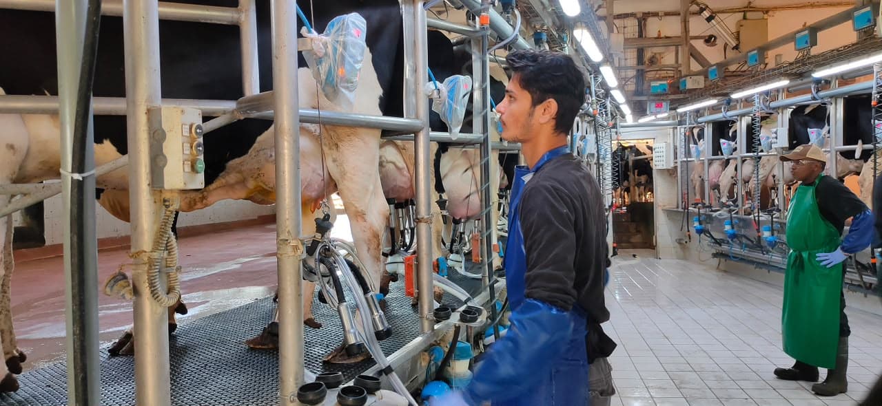 Hands-on field training on an international farm — field-rotary-milking-parlor
