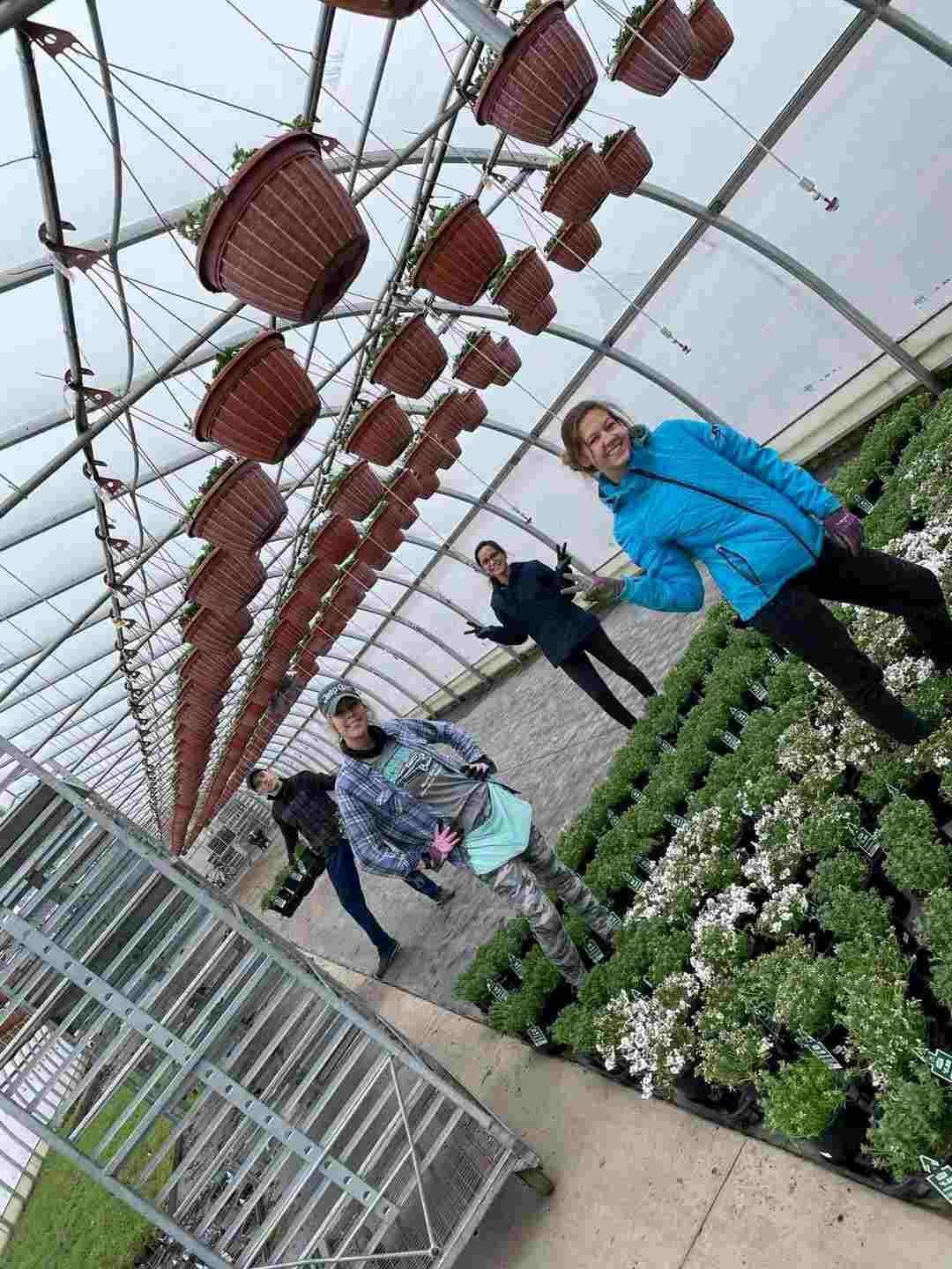 Hands-on field training on an international farm — image-1-compressed-2