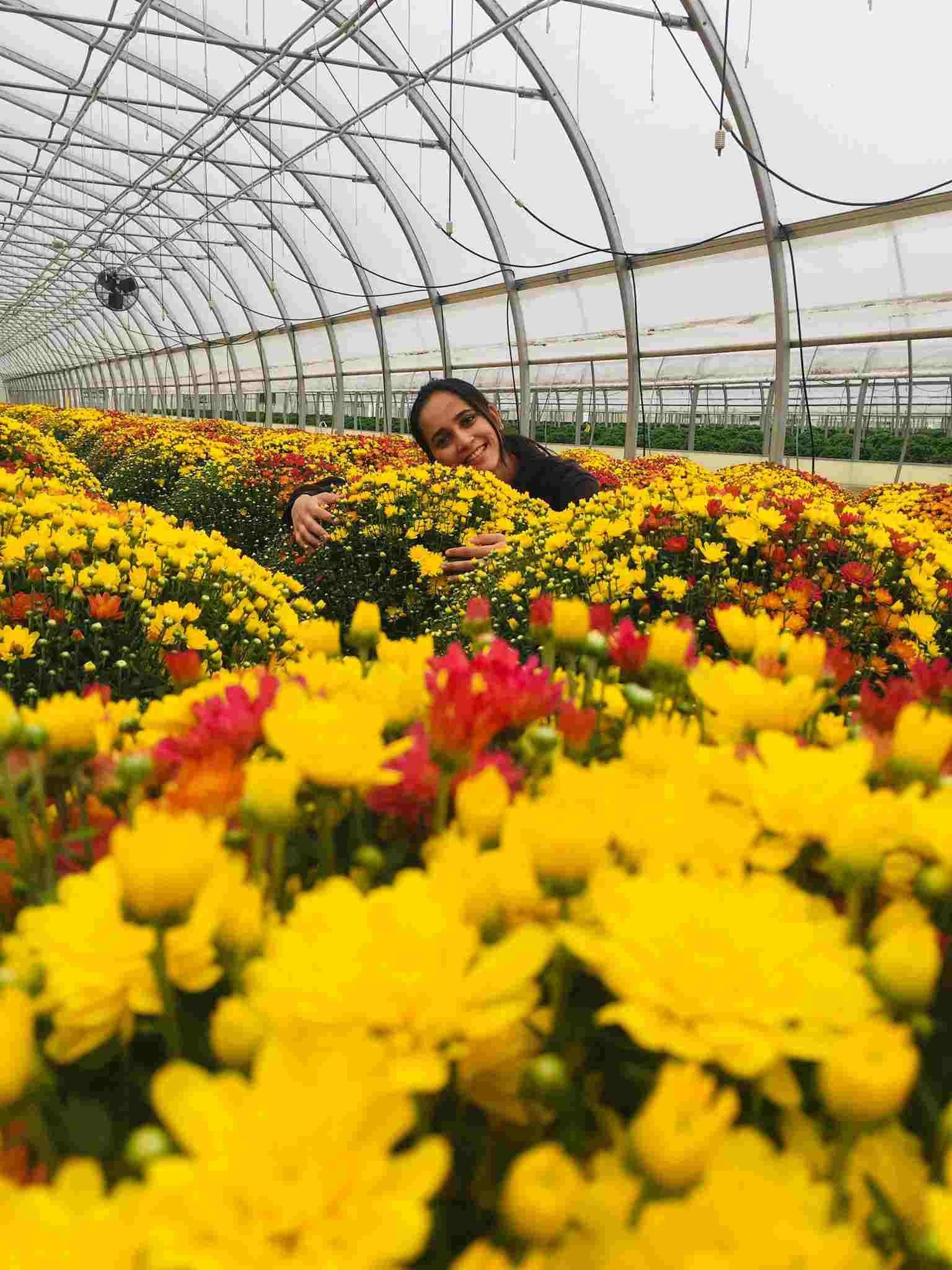 Hands-on field training on an international farm — image-2-compressed-3