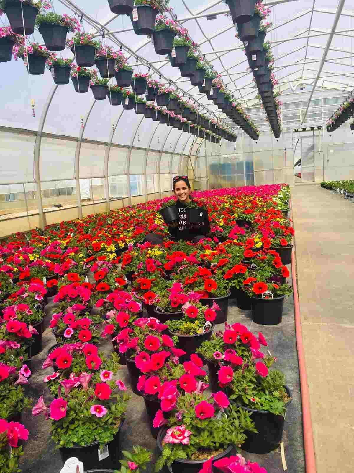 Hands-on field training on an international farm — image-4-compressed-2