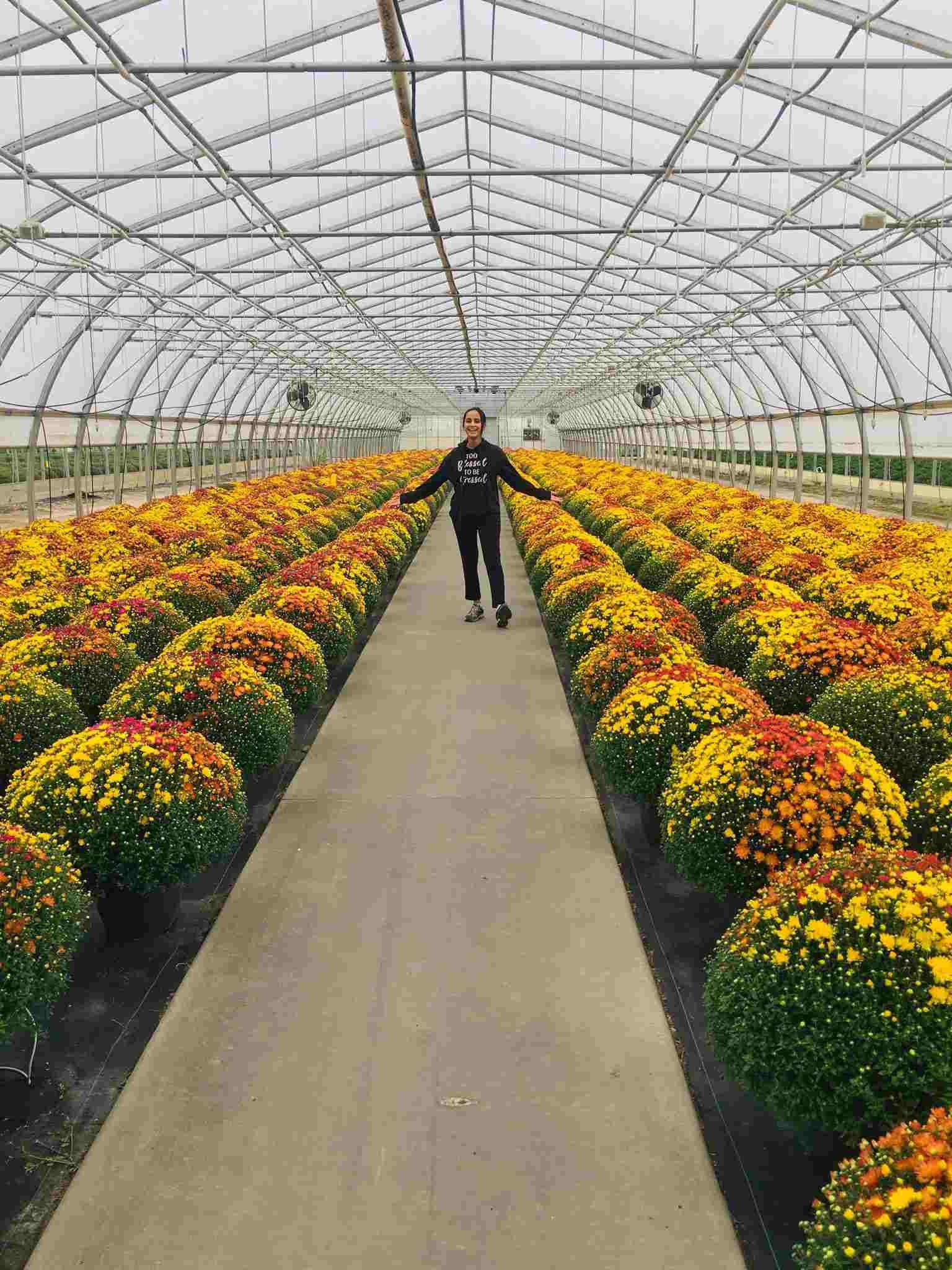 Hands-on field training on an international farm — image-5-compressed-2