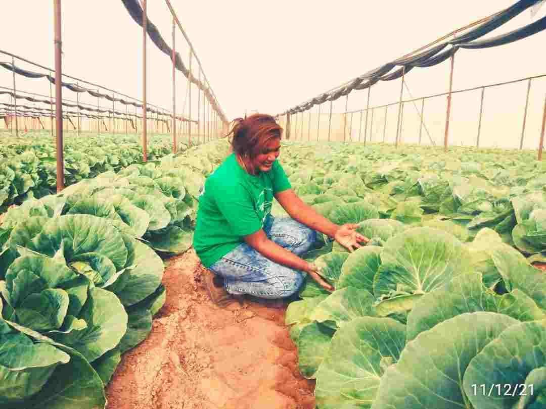 Hands-on field training on an international farm — image-5-compressed-3