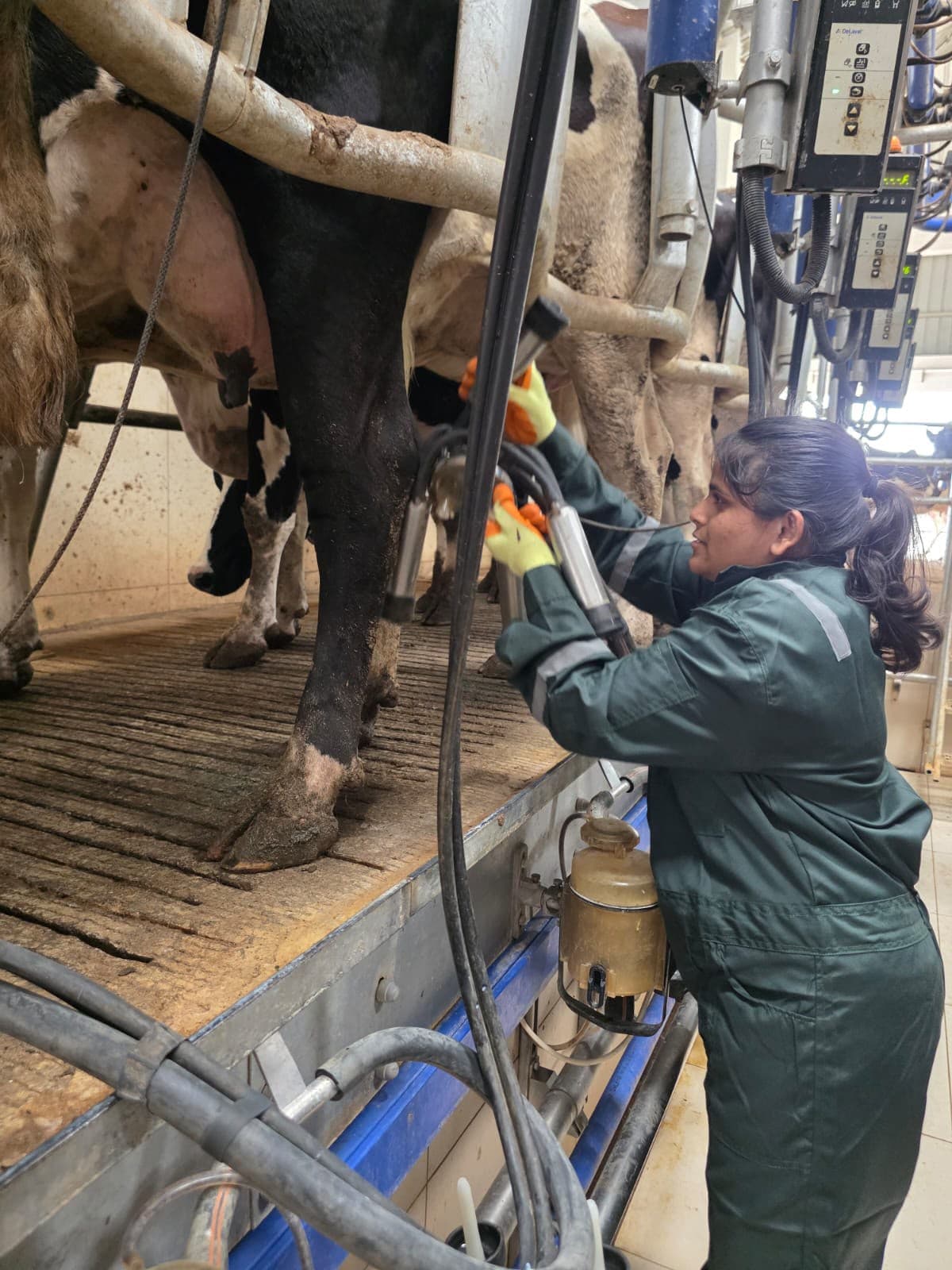 Hands-on field training on an international farm — field-milking-equipment-student